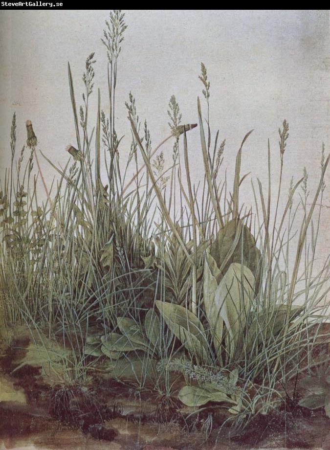 unknow artist A large grass